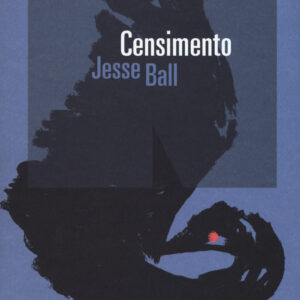 Libro Censimento di Jesse Ball - ean 9788899253851 - NN Editore