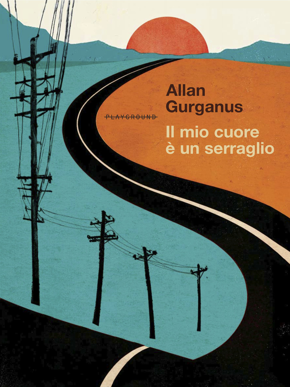 Libro mio cuore è un serraglio di Allan Gurganus - ean 9788899452452 - Playground