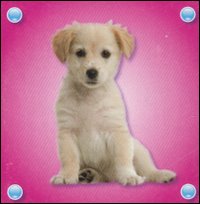 Libro cucciolo di  - ean 9789086224234 - Yoyo Books