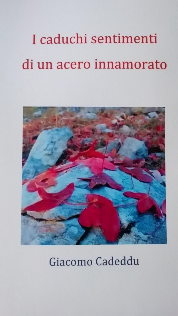 Libro caduchi sentimenti di un acero innamorato di Giacomo Cadeddu - ean 9791220031622 - Autopubblicato