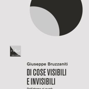 Libro Di cose visibili e invisibili. Dall'atomo al quark
