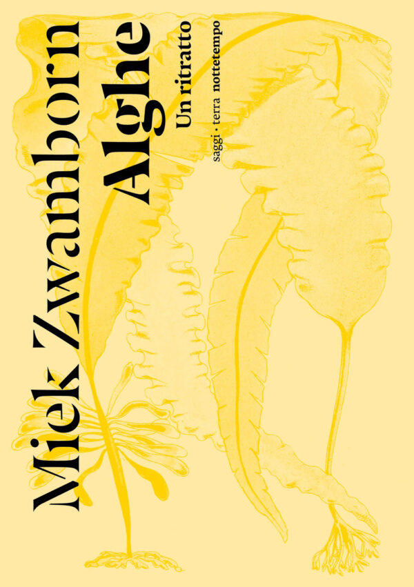 Libro Alghe. Un ritratto di Miek Zwamborn - ean 9791254800461 - Nottetempo