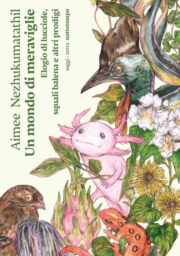 Libro mondo di meraviglie. Elogio di lucciole