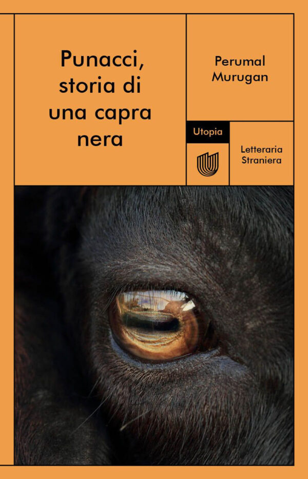 Libro Punacci