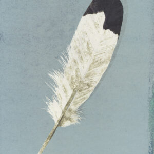 Libro penna di Britta Teckentrup - ean 9791280104267 - Uovonero