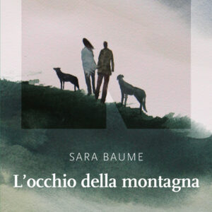 Libro occhio della montagna di Sara Baume - ean 9791280284679 - NN Editore