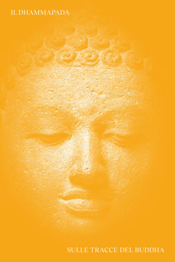 Libro Dhammapada. Sulle tracce del Buddha. Ediz. italiana