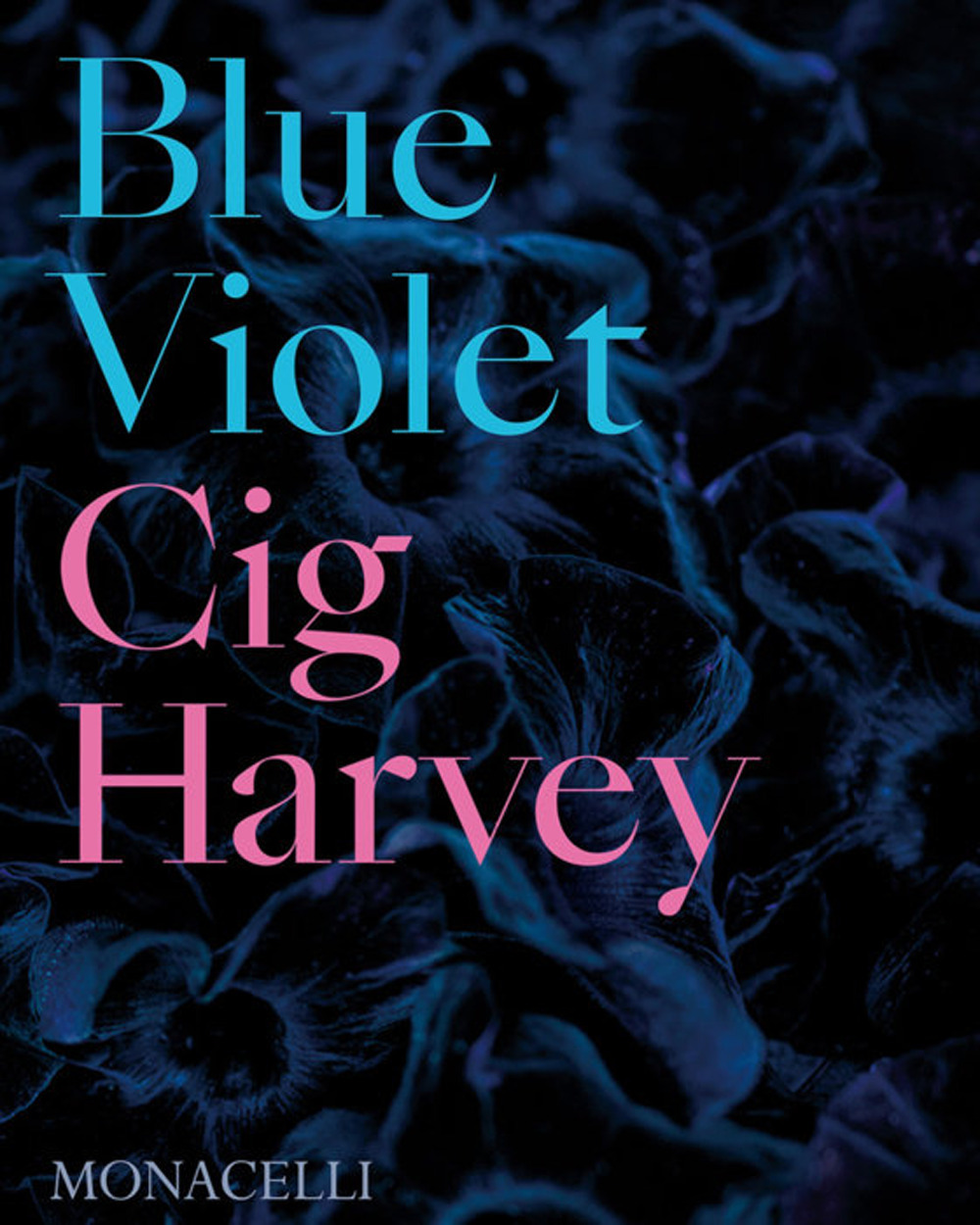 Libro Blue violet di Cig Harvey - ean 9781580935760 - Phaidon
