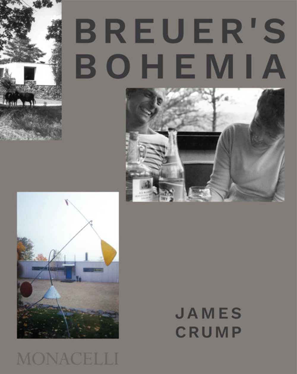 Libro Breuer's Bohemia. The architect
