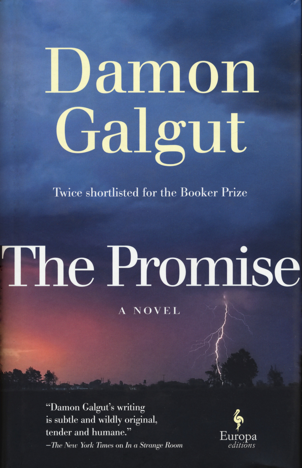 Libro promise di Damon Galgut - ean 9781609456580 - Europa Editions