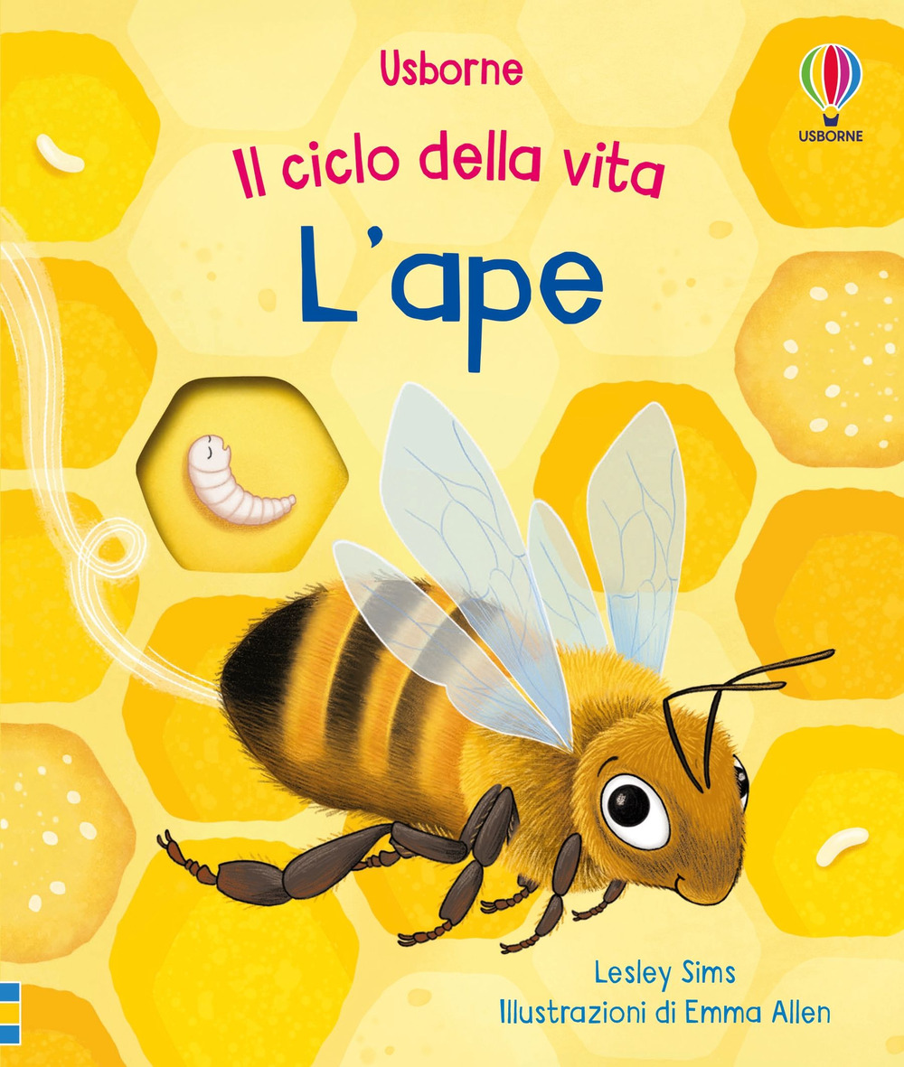 Libro ape di Lesley Sims - ean 9781805077763 - Usborne
