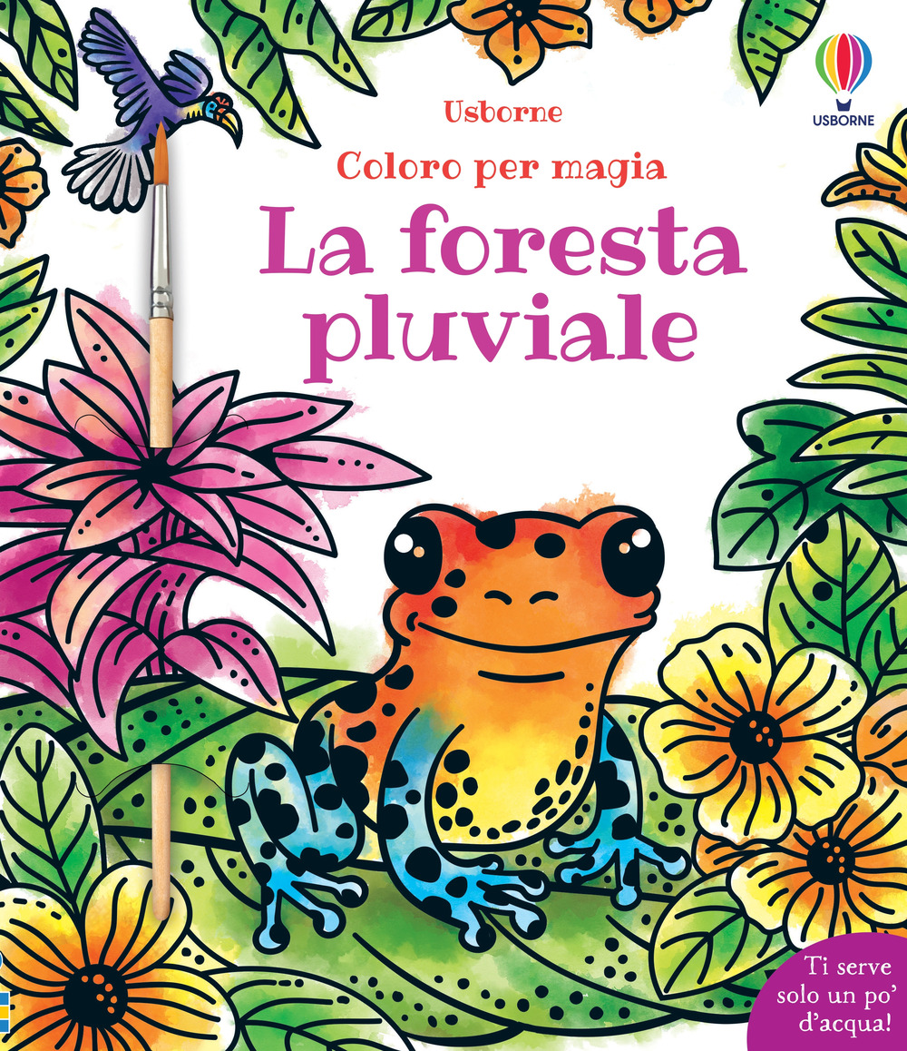 Libro Foresta pluviale di Sam Baer - ean 9781805315636 - Usborne