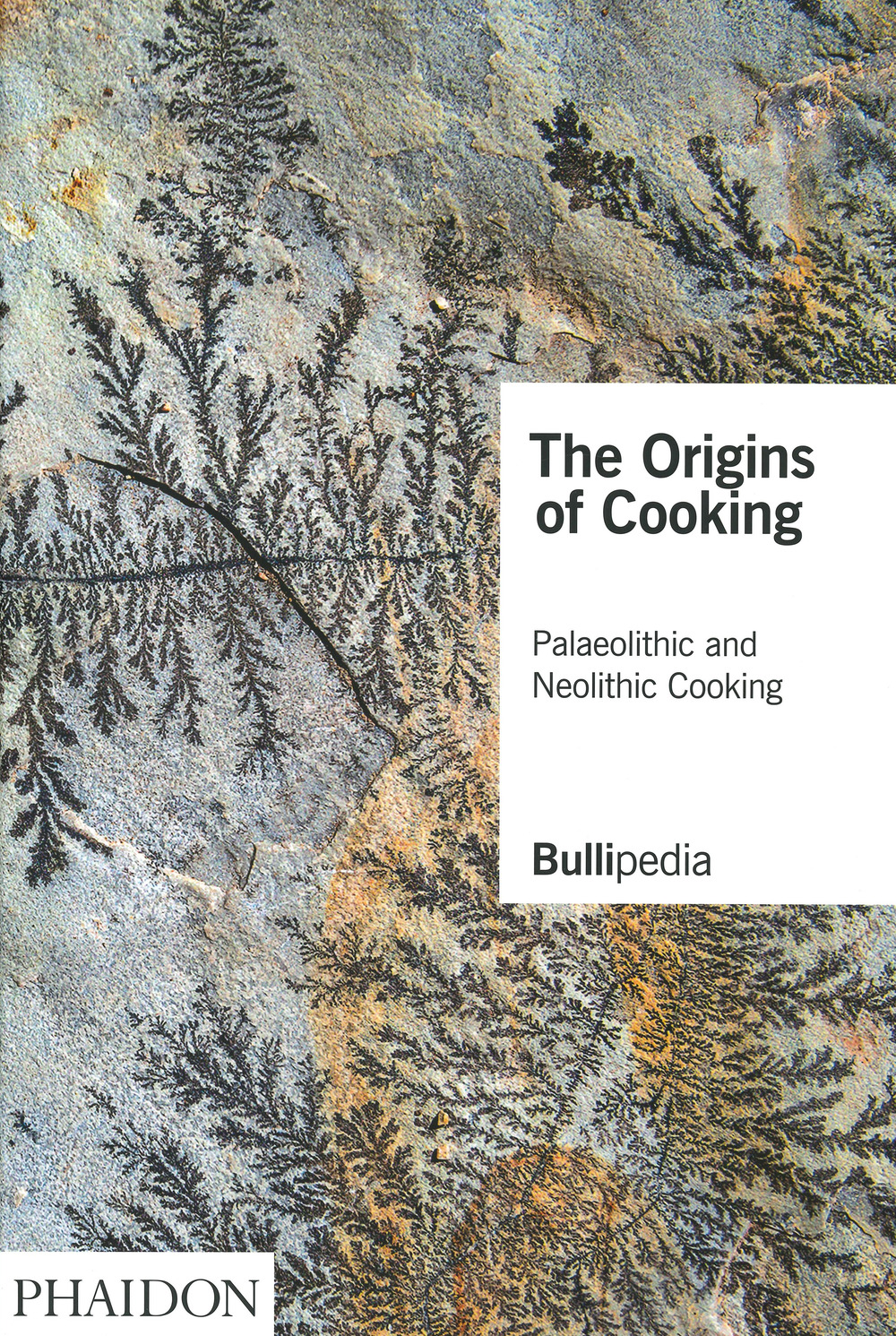Libro origins of cooking. Paleolithic and Neolithic cooking di Ferran Adrià - ean 9781838661625 - Phaidon