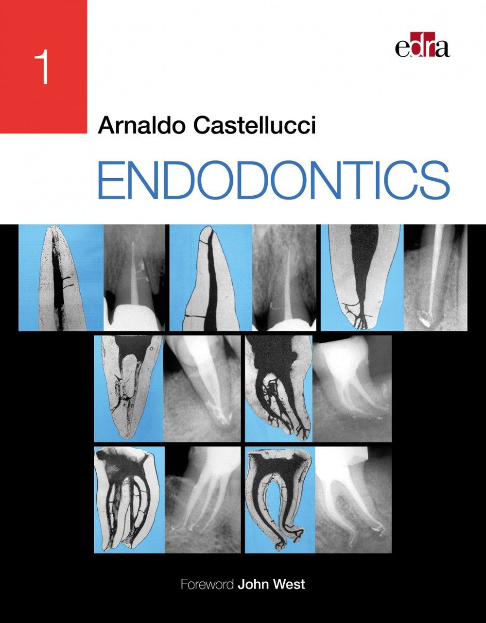 Libro Endodontics di Arnaldo Castellucci - ean 9781957260051 - Edra