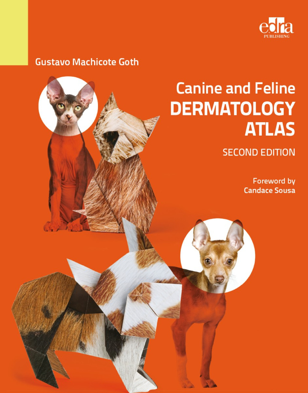 Libro Canine and feline dermatology Atlas di Gustavo Machicote Goth - ean 9781957260310 - Edra