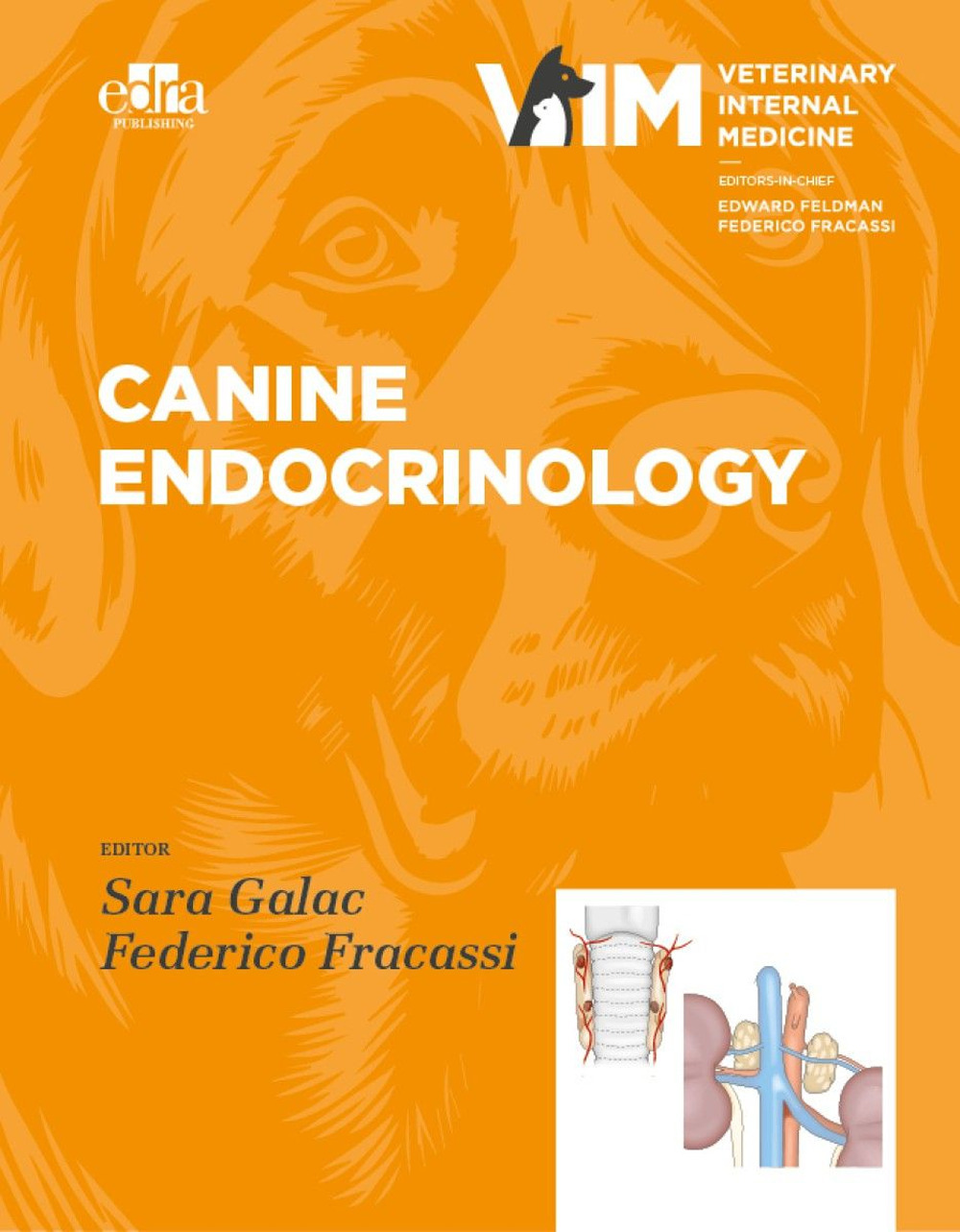 Libro Canine Endocrinolgy di  - ean 9781957260457 - Edra