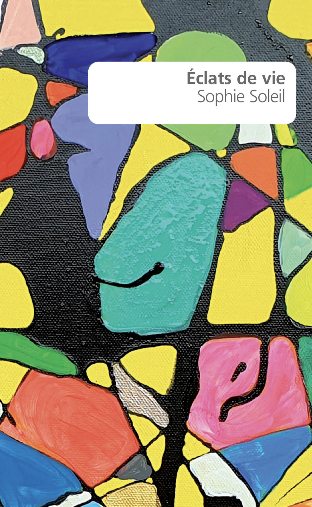 Libro Eclats de vie di Sophie Soleil - ean 9782378640439 - Portaparole