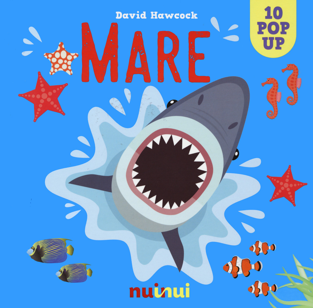Libro Mare. Libro pop-up di David Hawcock - ean 9782889354016 - Nuinui