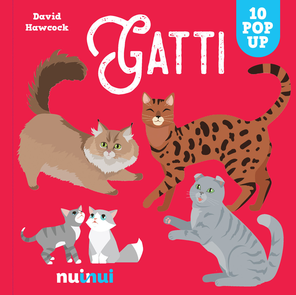Libro Gatti. Sorprendenti pop up di David Hawcock - ean 9782889359257 - Nuinui
