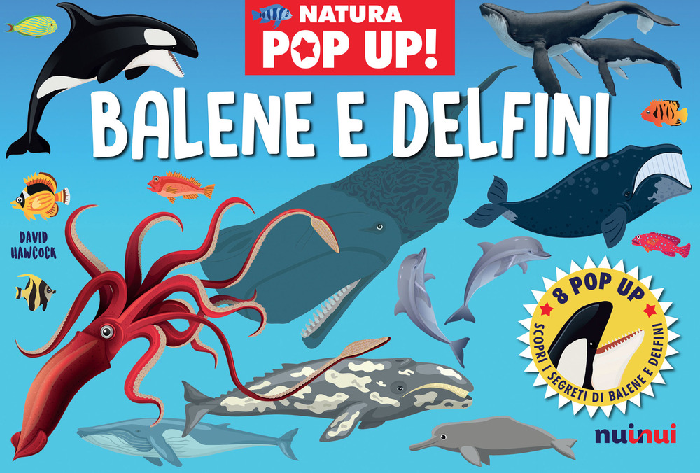 Libro Balene e delfini. Natura pop up! di David Hawcock - ean 9782889750733 - Nuinui