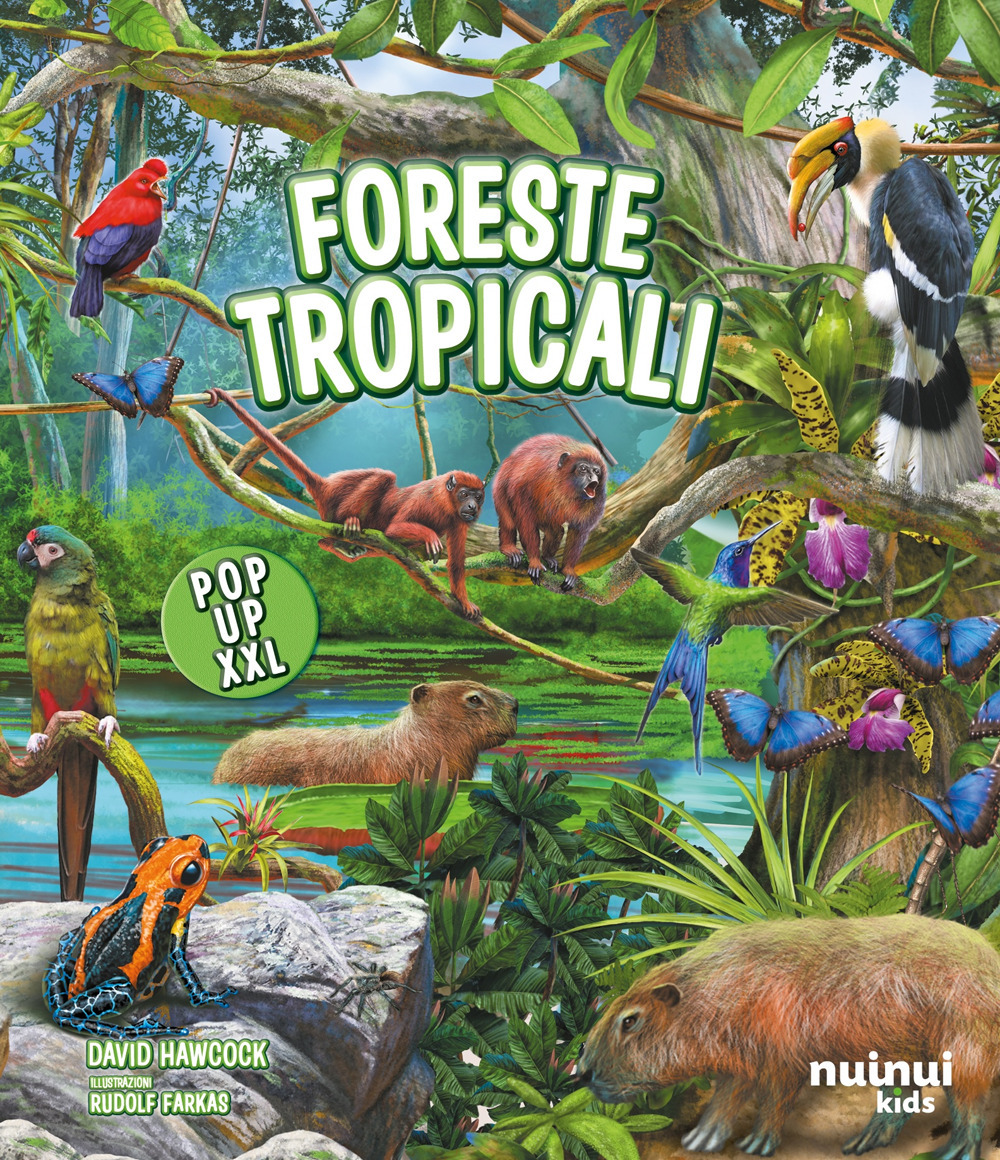 Libro Foreste tropicali. Pop up XXL di David Hawcock - ean 9782889753734 - Nuinui