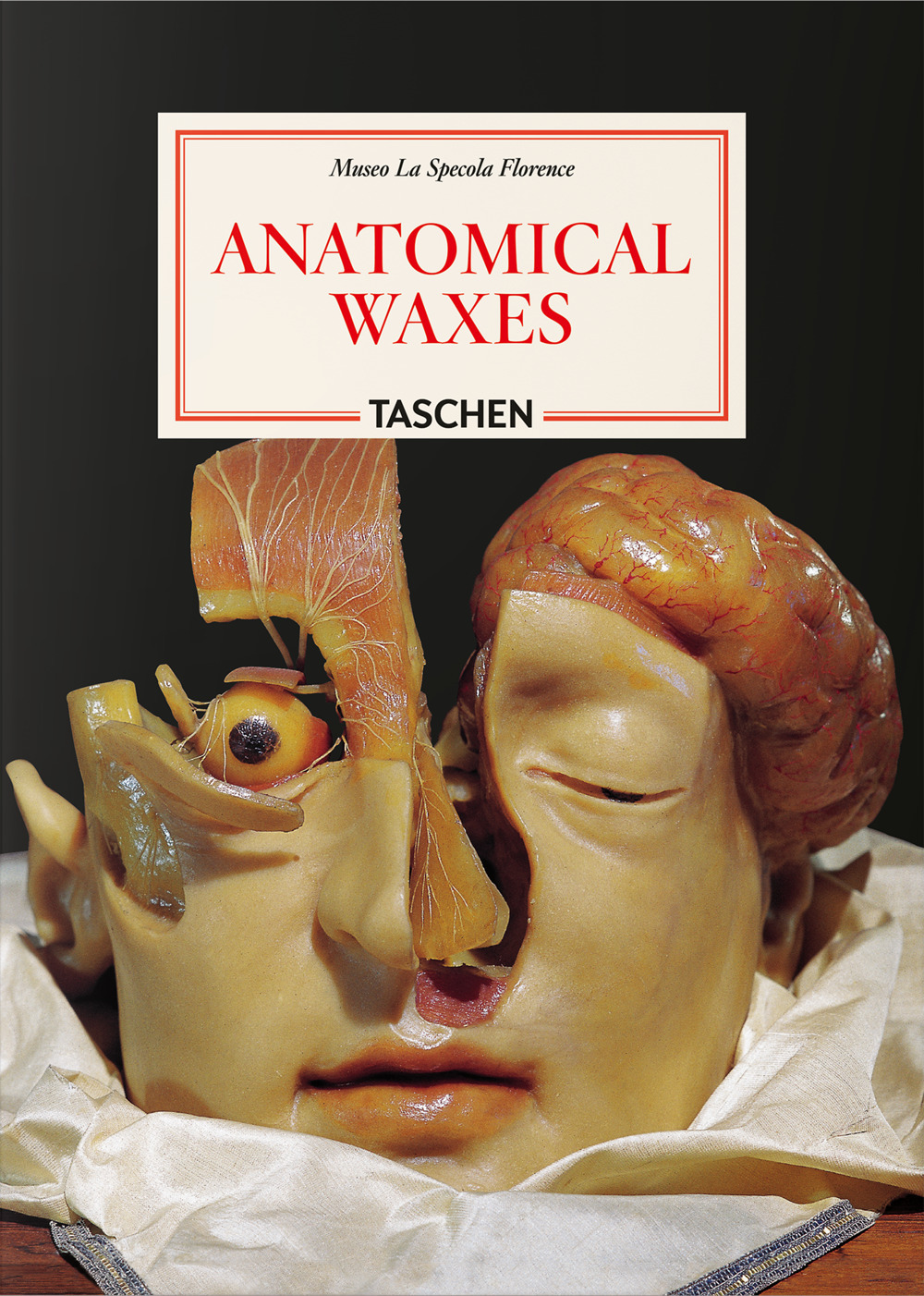 Libro Anatomical waxes. 45th Ed. Ediz. inglese