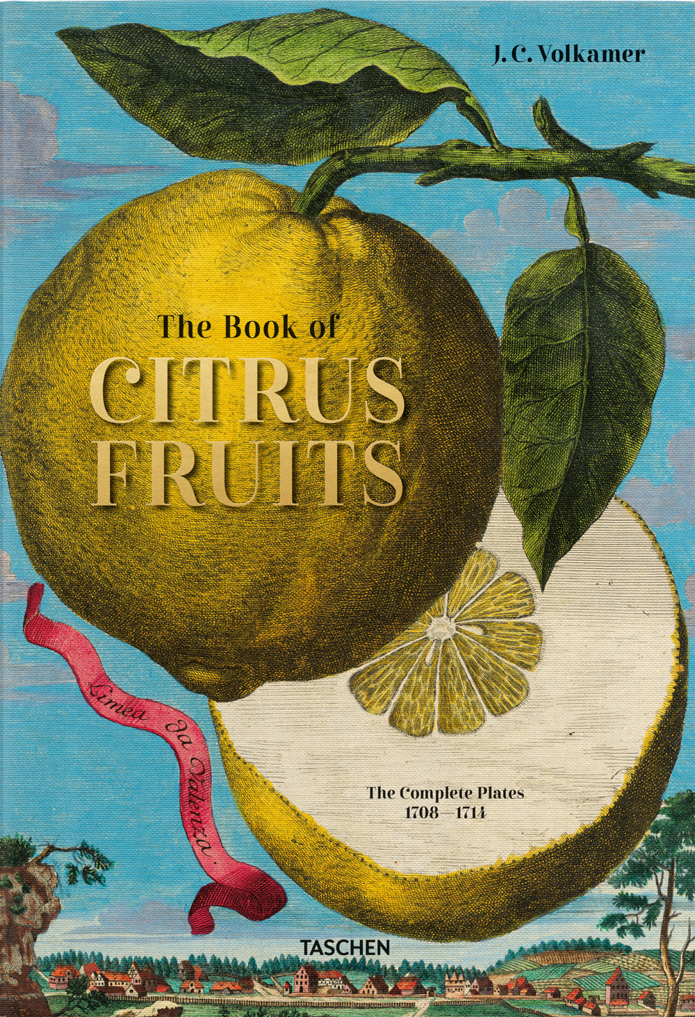 Libro Johann Christoph Volkamer. The book of citrus fruits. Ediz. inglese