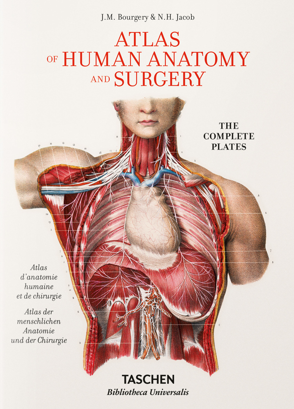 Libro Bourgery. Atlas of human anatomy and surgery. Ediz. inglese