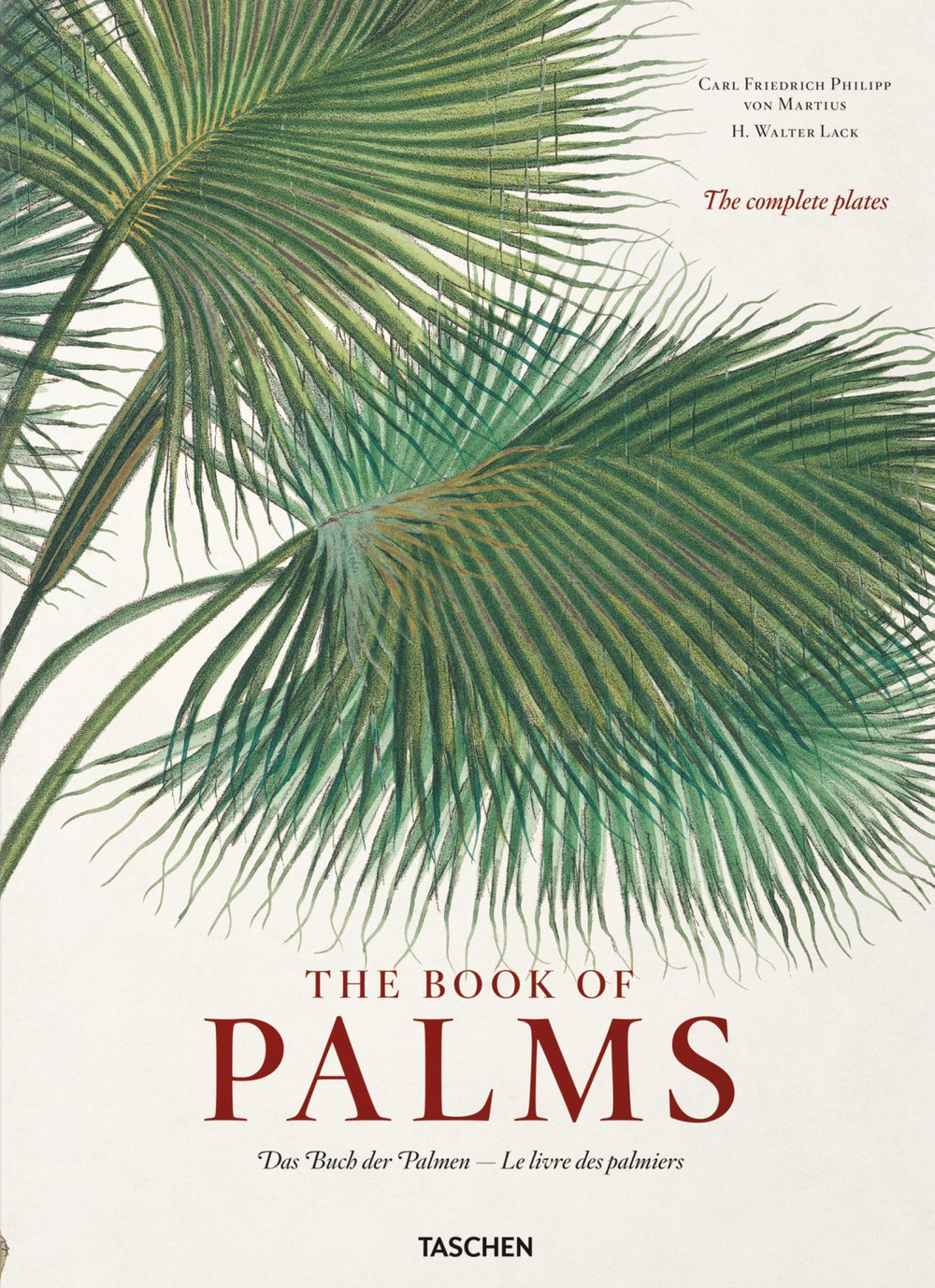 Libro Martius. The book of palms. Ediz. inglese