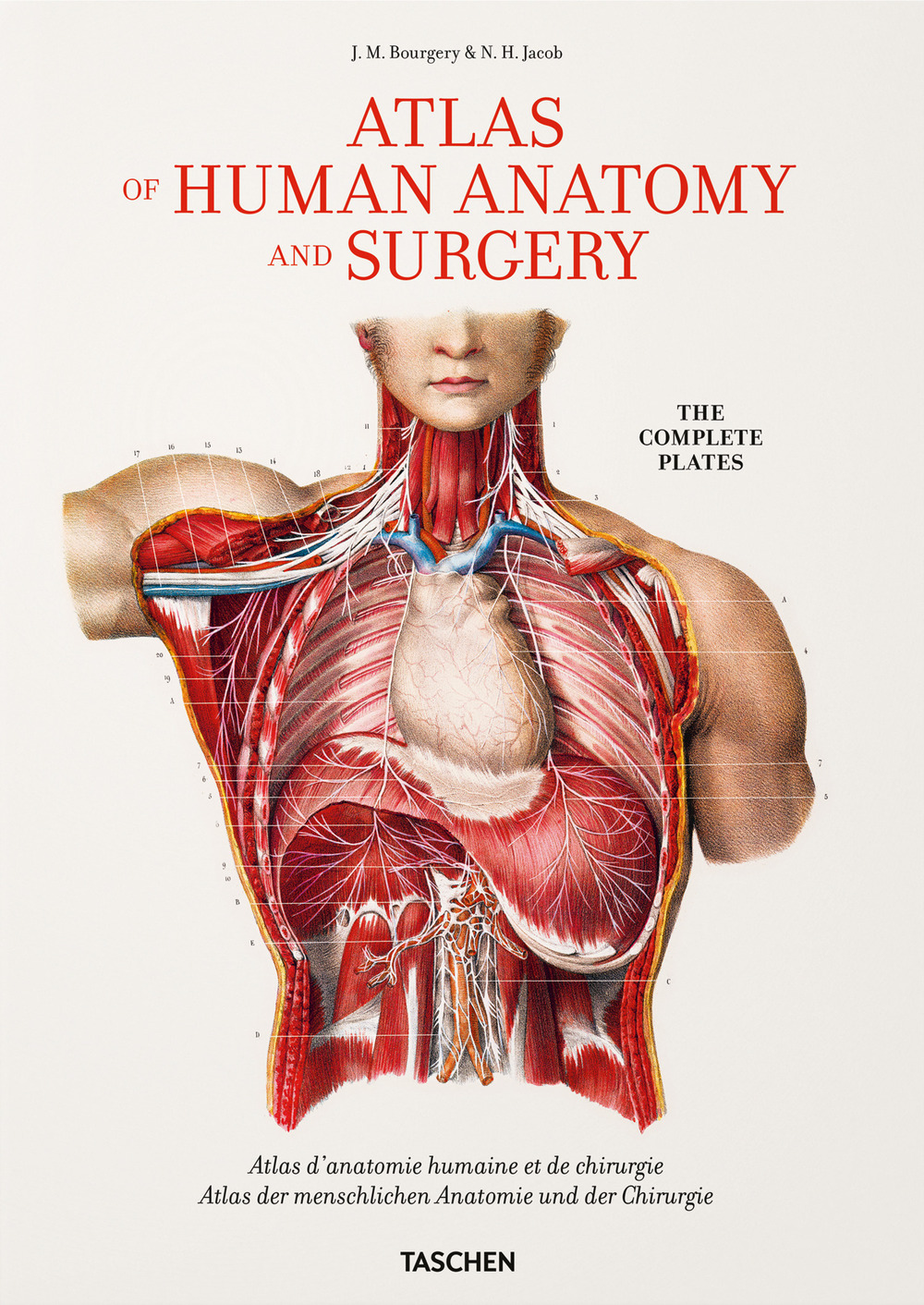 Libro Bourgery. Atlas of human anatomy and surgery. Ediz. inglese