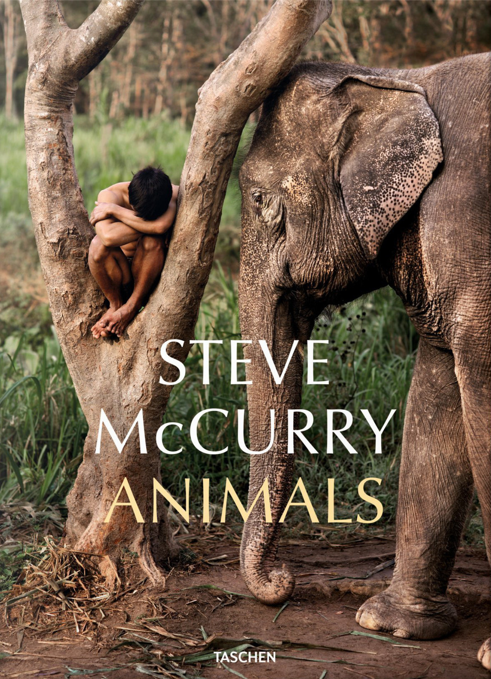 Libro Steve McCurry. Animals. Ediz. inglese