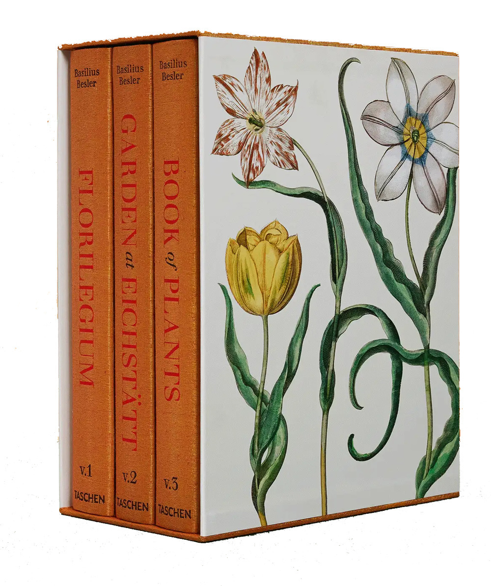 Libro Basilius Besler. The garden at Eichstätt. Ediz. inglese