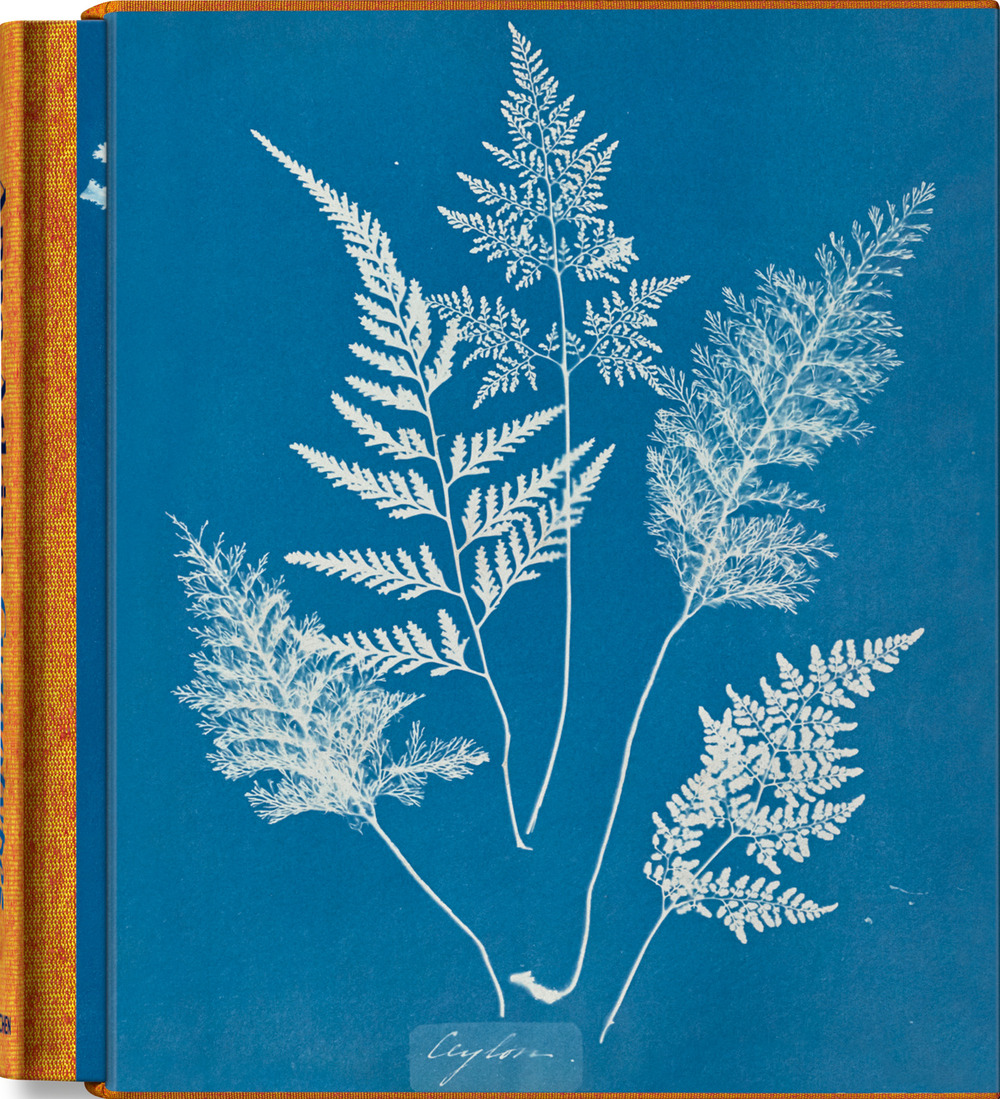 Libro Anna Atkins. Cyanotypes. Ediz. inglese
