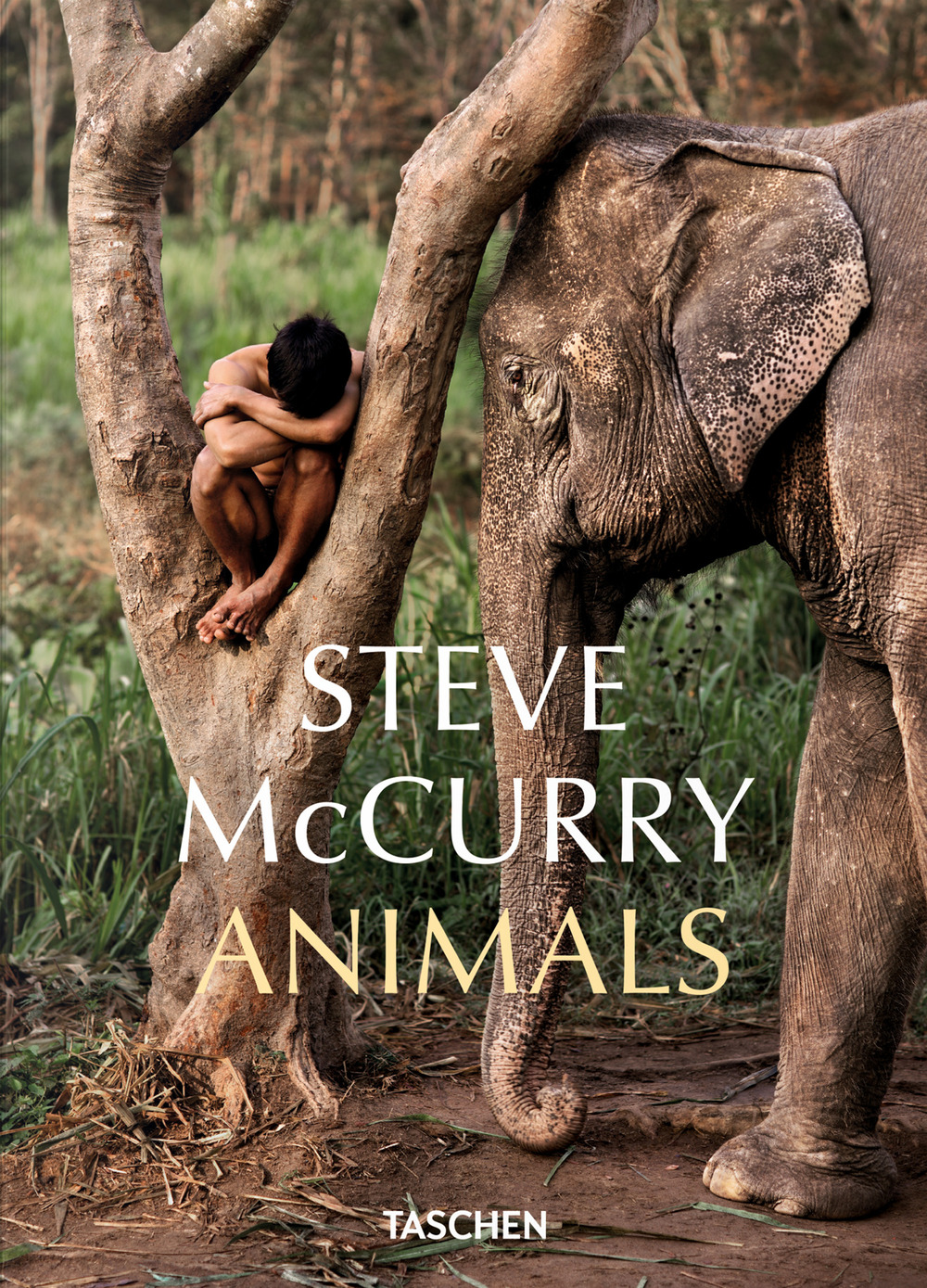 Libro Steve McCurry. Animals. Ediz. inglese di  - ean 9783836597036 - Taschen
