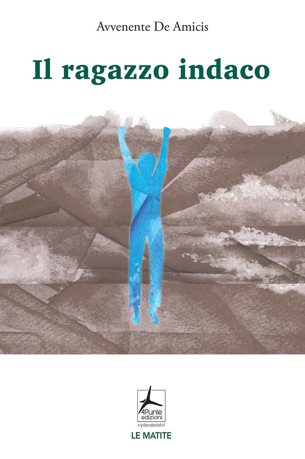 Libro ragazzo indaco di Avvenente De Amicis - ean 9788088478065 - 4Punte edizioni