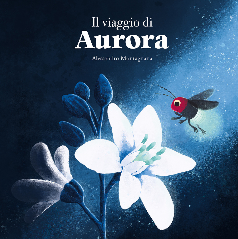 Libro viaggio di Aurora di Alessandro Montagnana - ean 9788410074439 - Nube Ocho