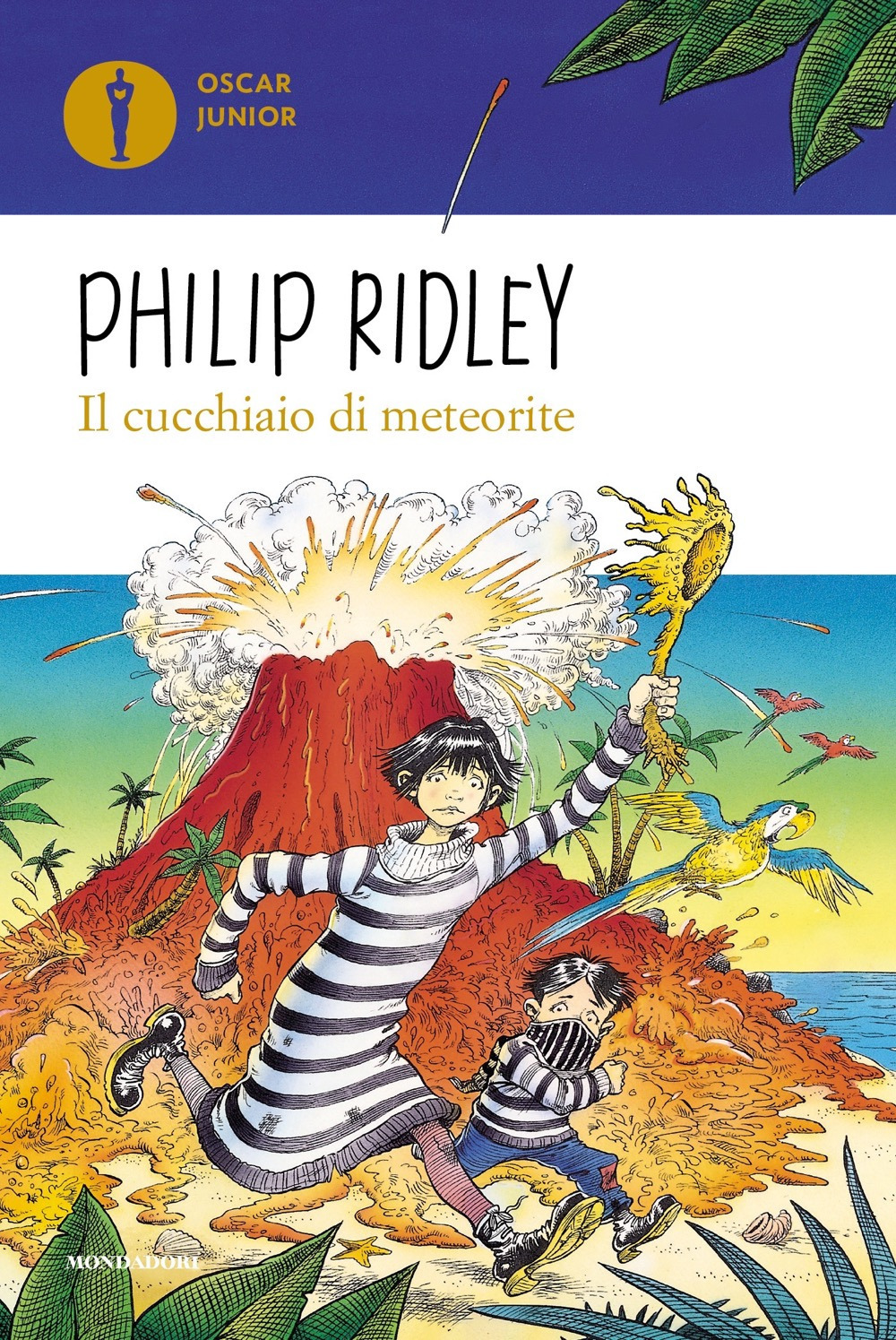 Libro cucchiaio di meteorite di Philip Ridley - ean 9788804713593 - Mondadori