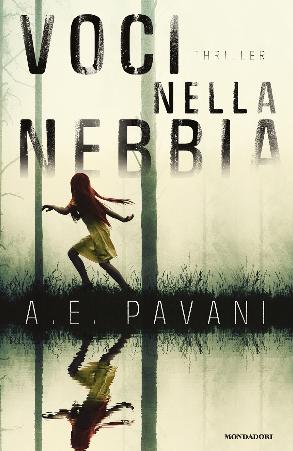Libro Voci nella nebbia di A. E. Pavani - ean 9788804721932 - Mondadori