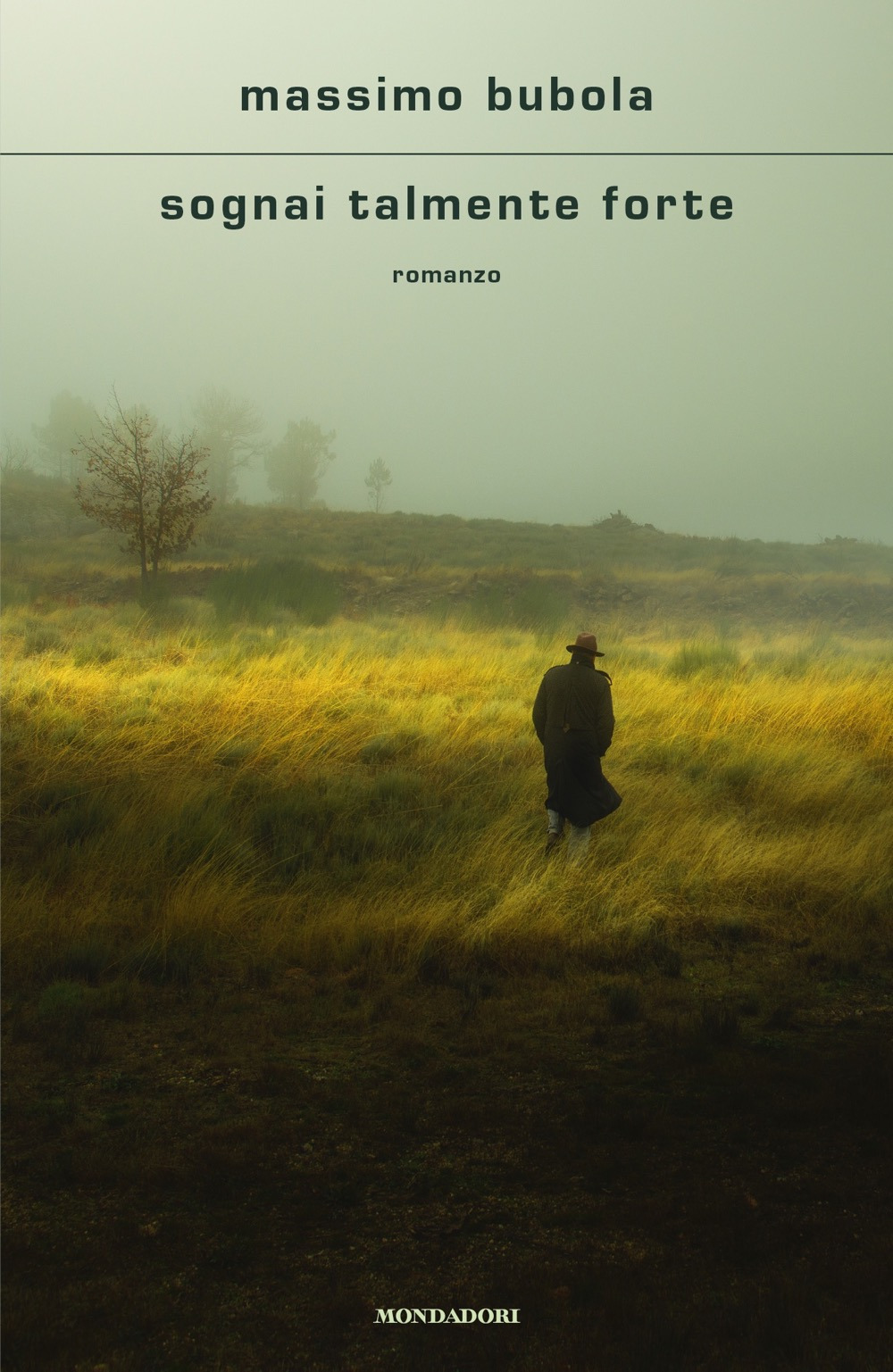 Libro Sognai talmente forte di Massimo Bubola - ean 9788804722311 - Mondadori