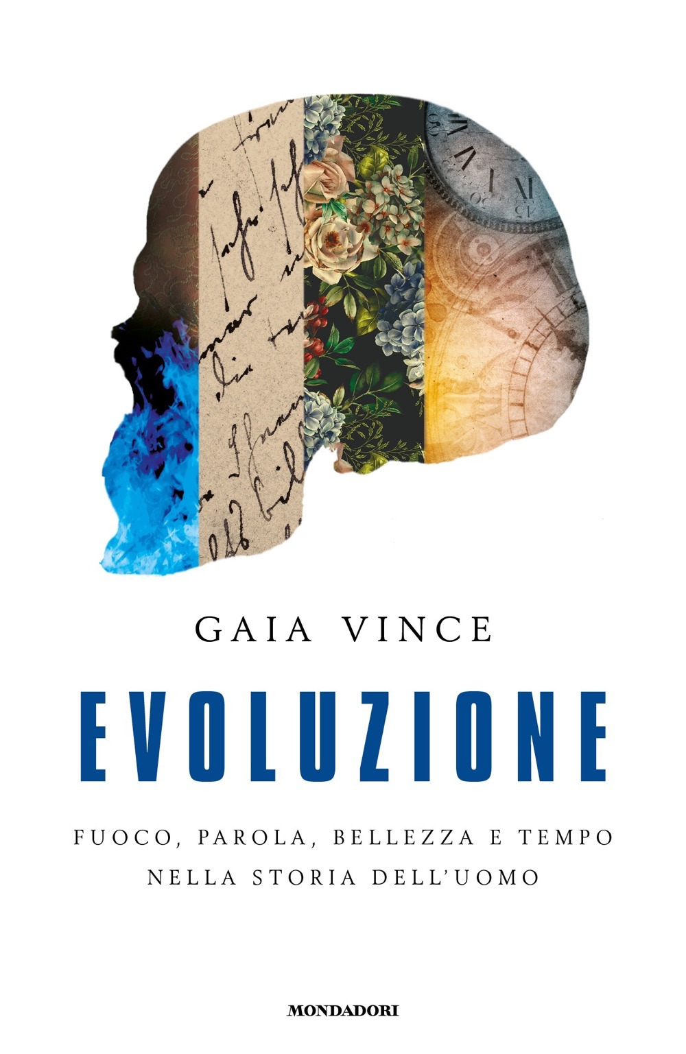 Libro Evoluzione. Fuoco