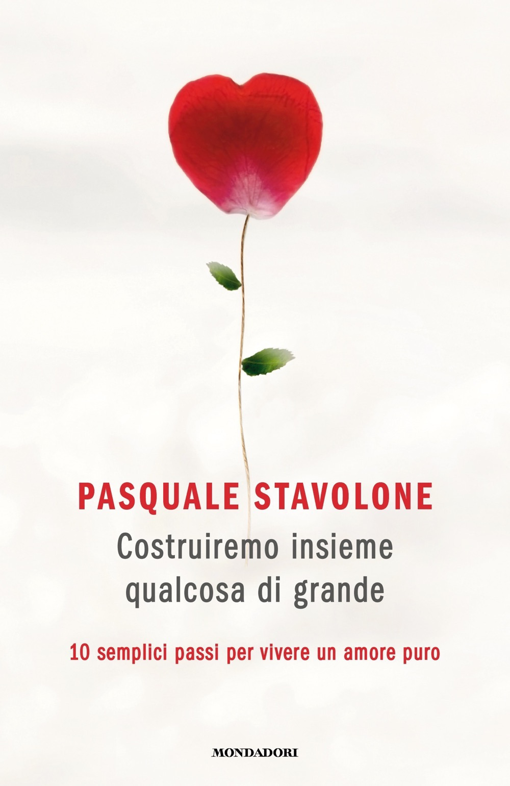 Libro Costruiremo insieme qualcosa di grande. 10 semplici passi per vivere un amore puro di Pasquale Stavolone - ean 9788804739944 - Mondadori