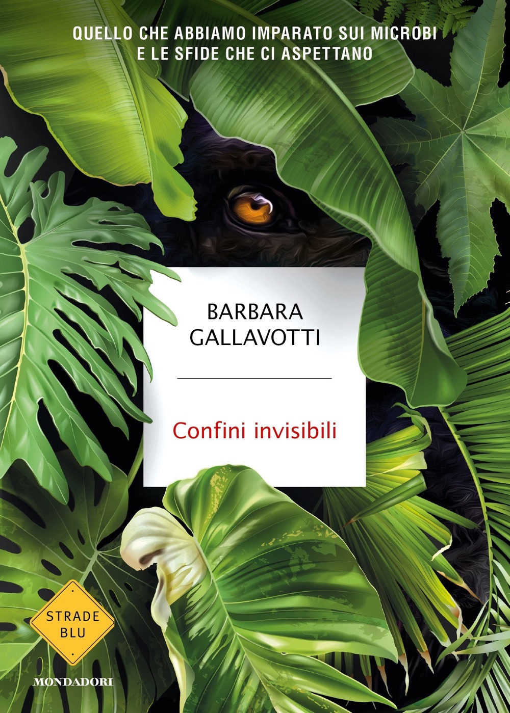 Libro Confini invisibili. Quello che abbiamo imparato sui microbi e le sfide che ci aspettano di Barbara Gallavotti - ean 9788804741176 - Mondadori