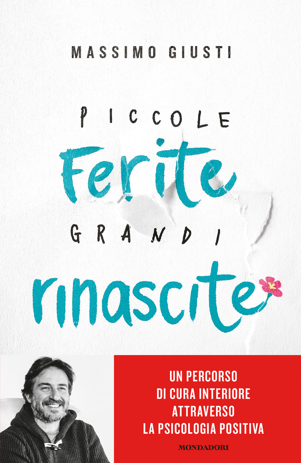 Libro Piccole ferite