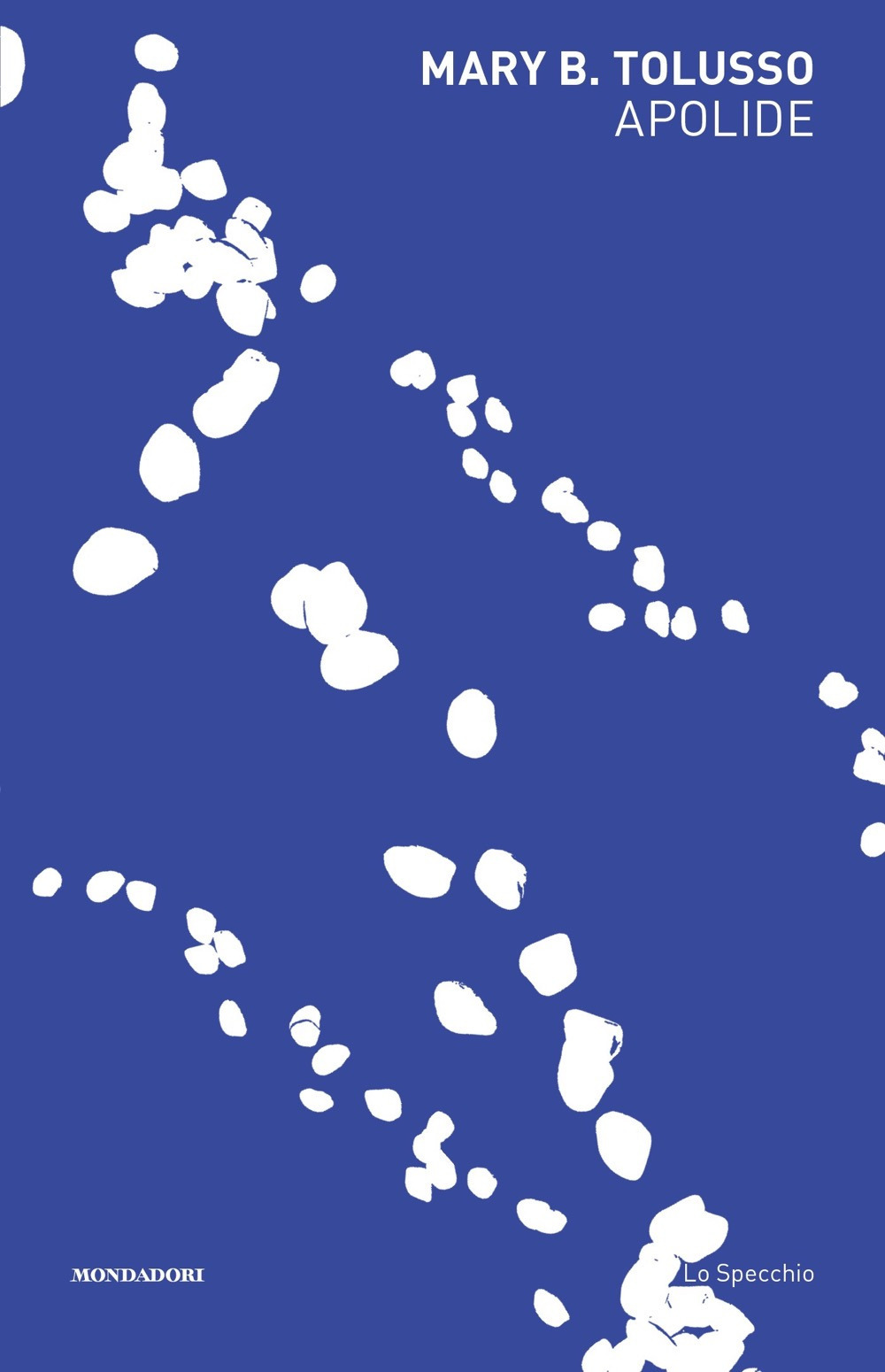 Libro Apolide di Mary Barbara Tolusso - ean 9788804745952 - Mondadori