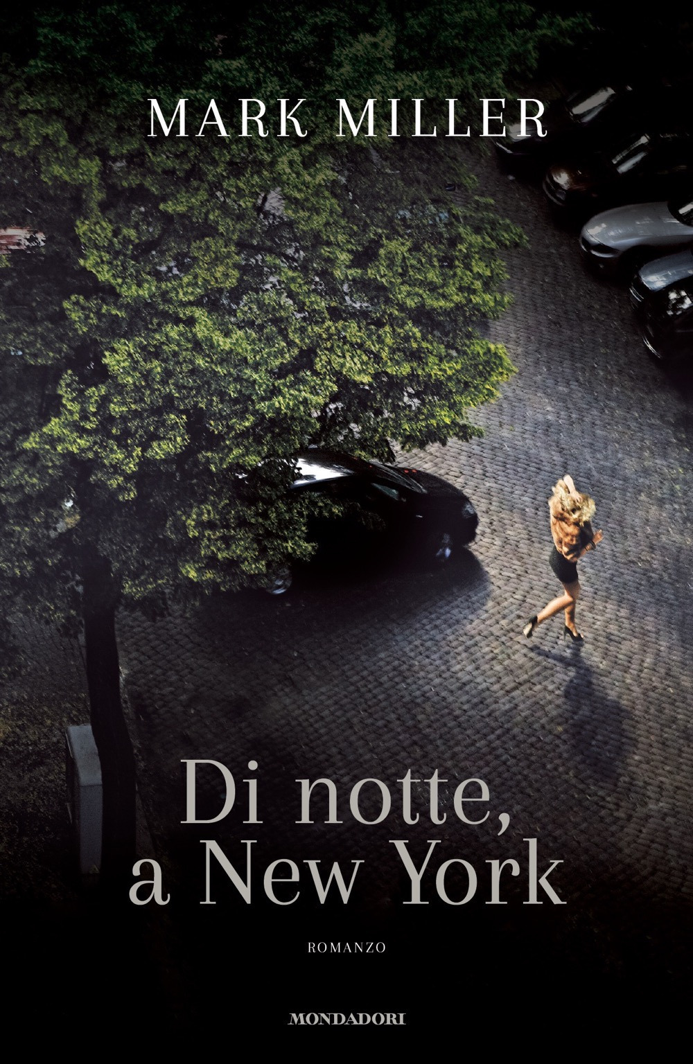 Libro Di notte