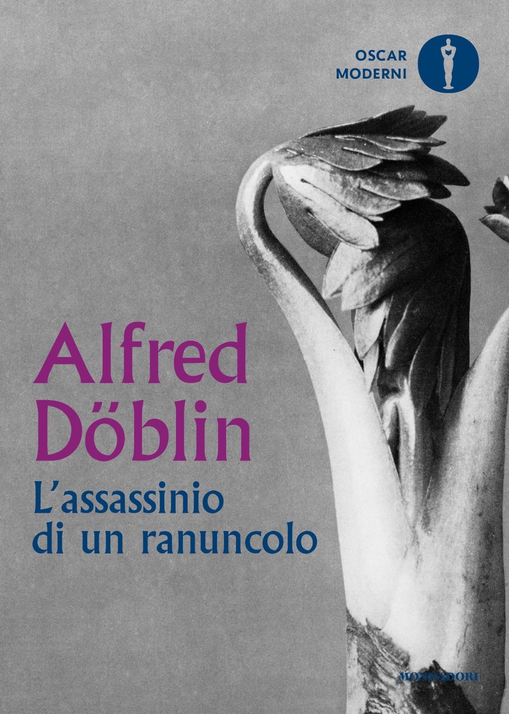 Libro assassinio di un ranuncolo di Alfred Döblin - ean 9788804761839 - Mondadori