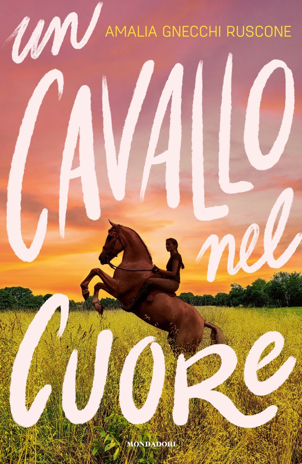 Libro cavallo nel cuore di Gnecchi Ruscone Amalia - ean 9788804774709 - Mondadori