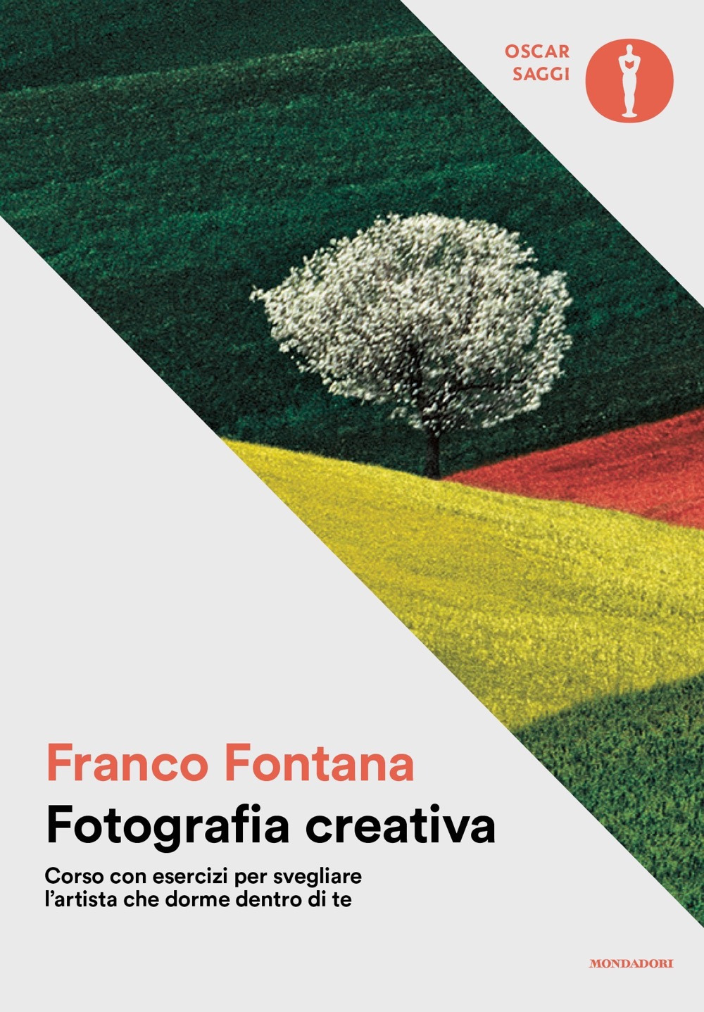 Libro Fotografia creativa. Corso con esercizi per svegliare l'artista che dorme dentro di te di Franco Fontana - ean 9788804782124 - Mondadori