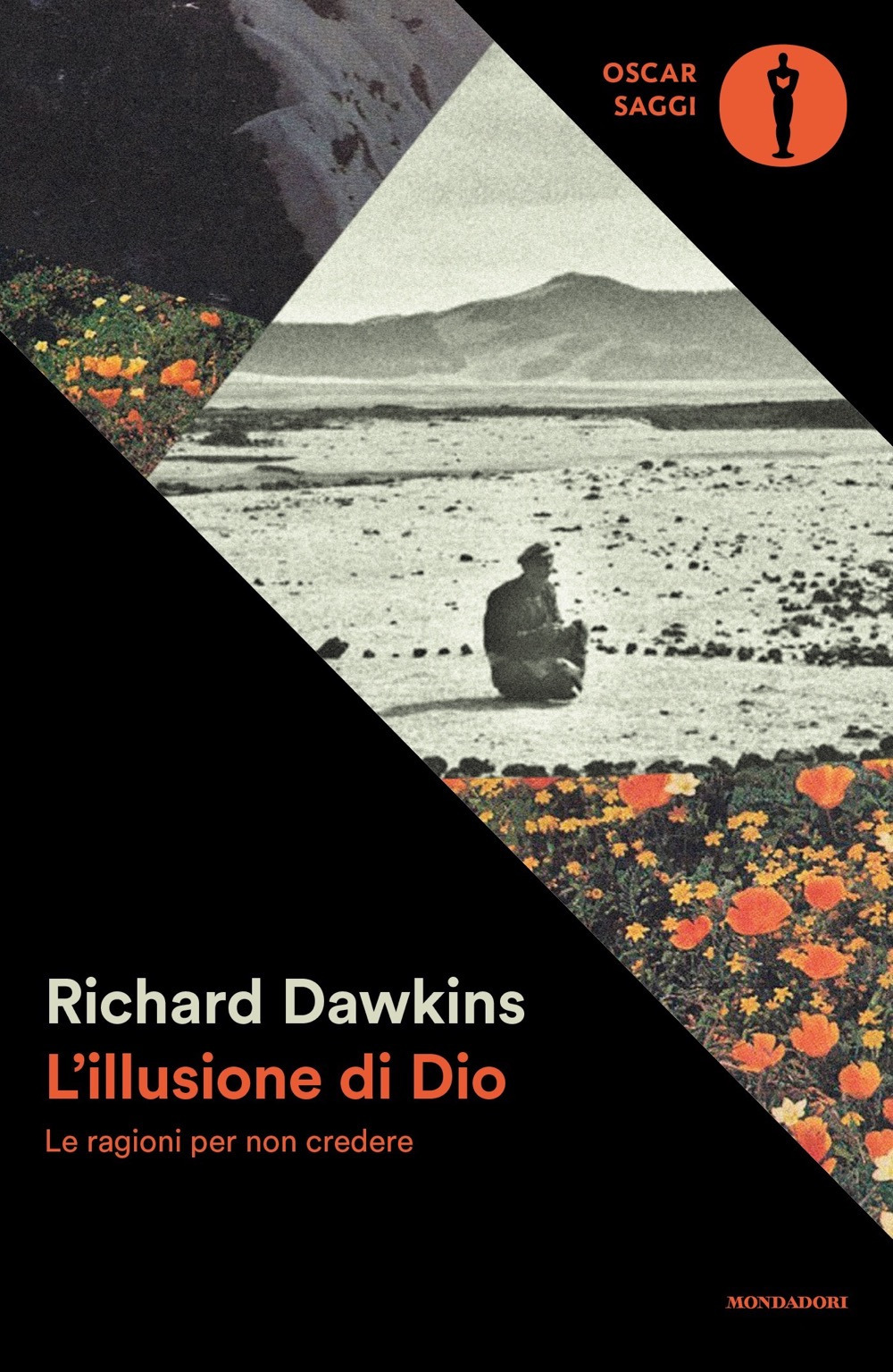 Libro illusione di Dio. Le ragioni per non credere di Richard Dawkins - ean 9788804793250 - Mondadori