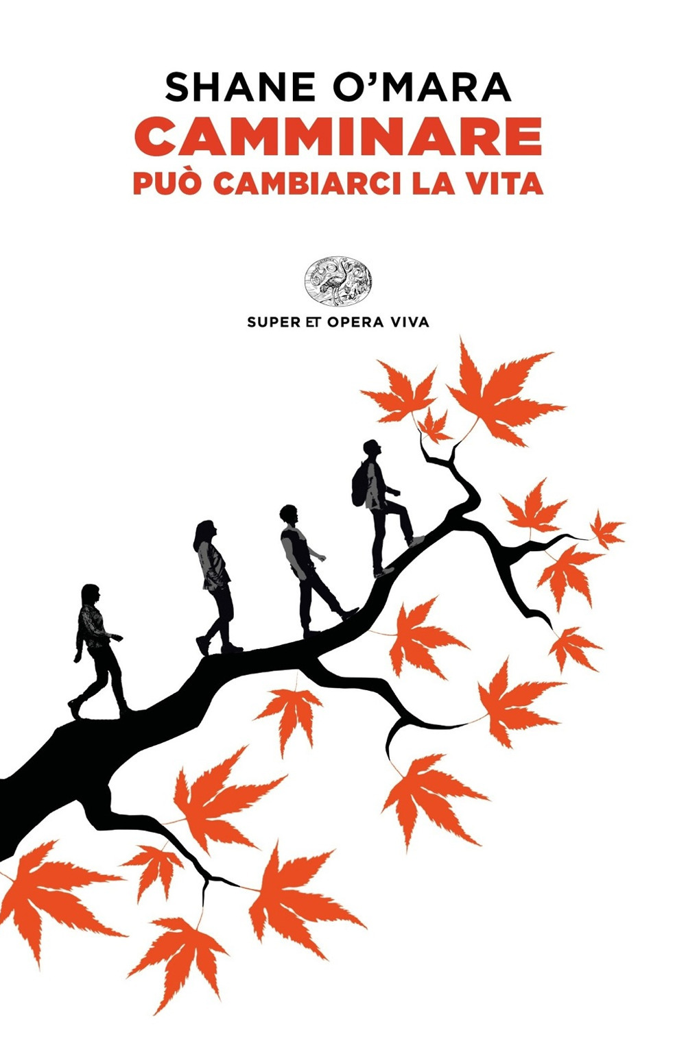 Libro Camminare può cambiarci la vita di Shane O'Mara - ean 9788806236502 - Einaudi